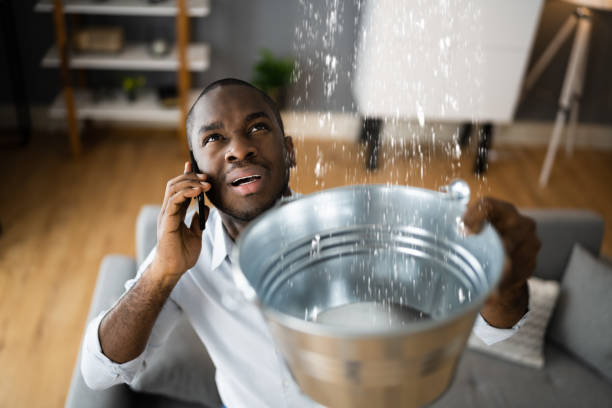Best Mold removal after water damage  in North Bethesda, MD