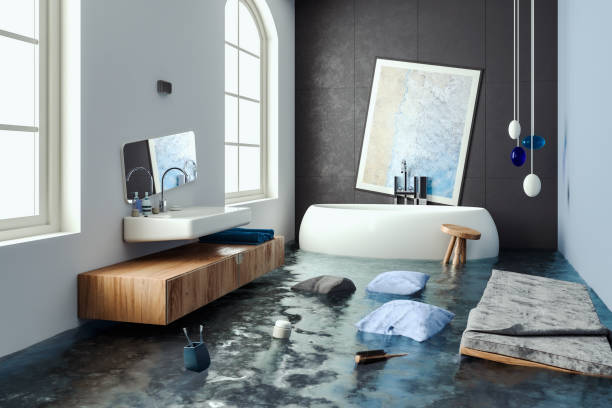 Water damage restoration mold remediation in North Bethesda, MD