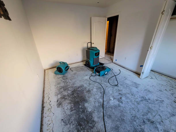 Best Emergency water extraction  in North Bethesda, MD