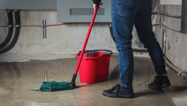 Best Local water damage restoration  in North Bethesda, MD