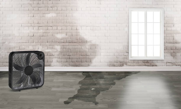 Best Residential water damage restoration  in North Bethesda, MD