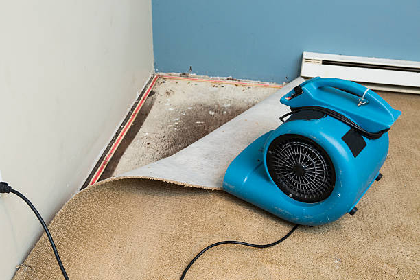 Best Professional water damage repair  in North Bethesda, MD